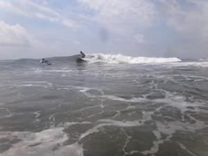 DSC03320